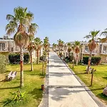 Sea Ayvalı